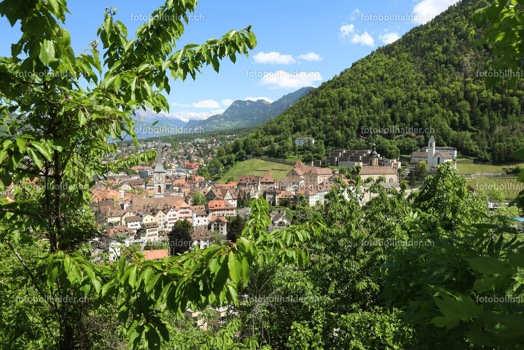 IMG_3970_ | Foto Bollhalder 