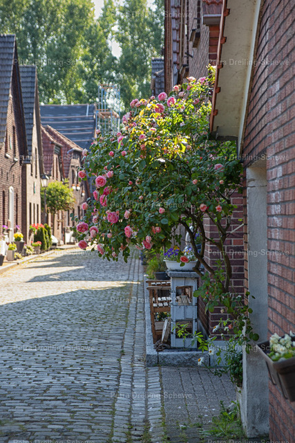 Idyllische Gasse | Krudenburg im Kreis Hünxe hat eine Menge schöner Fotomotive zu bieten. In dieser kleinen Gasse stehen wunderschön dekorierte Wohnhäuser. - Realisiert mit Pictrs.com