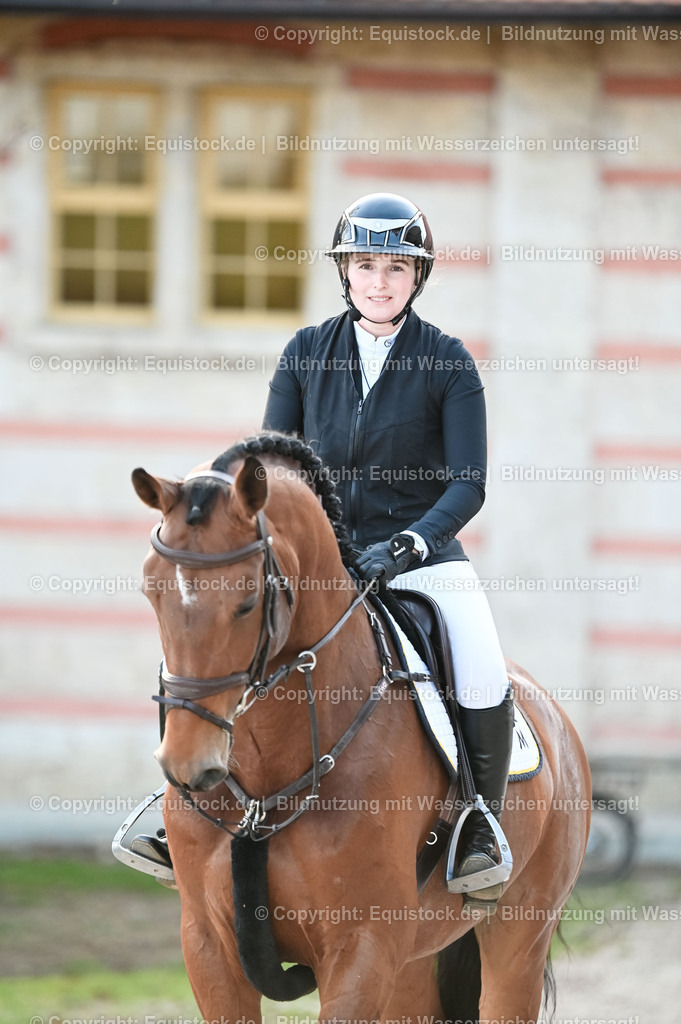 20260307_Hengstvorstellung-Marbach_0036 | equistock