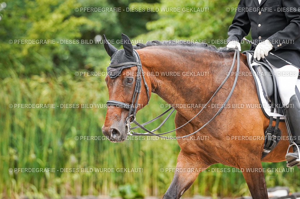 DSC07227 | Pferdegrafie