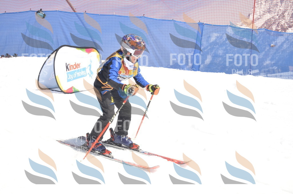 _ELE9517 | holidayphoto