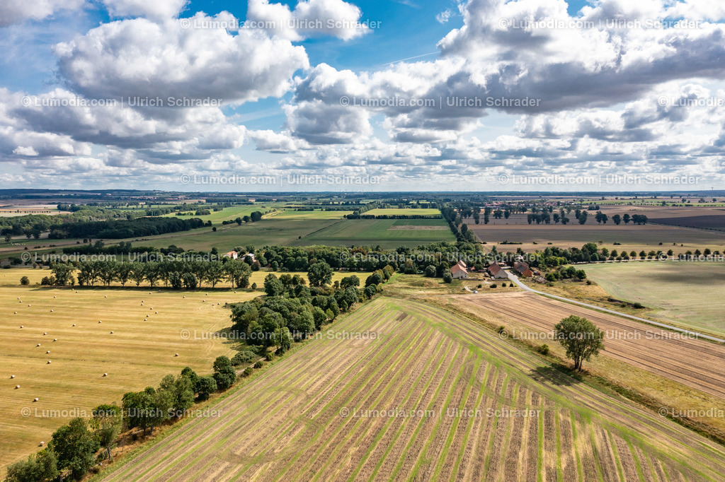 10049-51419 - Im Großen Bruch | Stockfoto und Bilderpool mit Bildmaterial aus Deutschland, dem Harz, Halberstadt, Quedlinburg, Wernigerode und weltweit. Qualitativ hochwertige und professionelle Fotos anschauen und kaufen. - Realisiert mit Pictrs.com