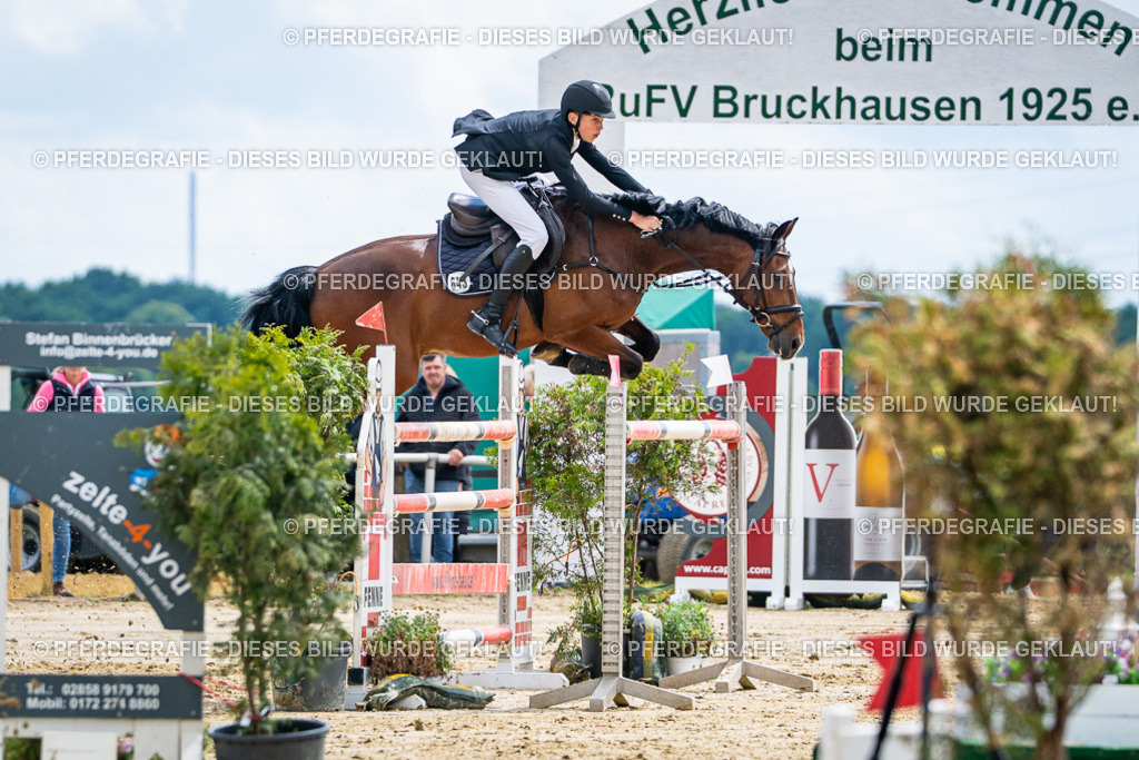 DSC05804 | Pferdegrafie