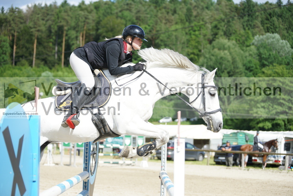 DSC08456 | equestrian-live-com