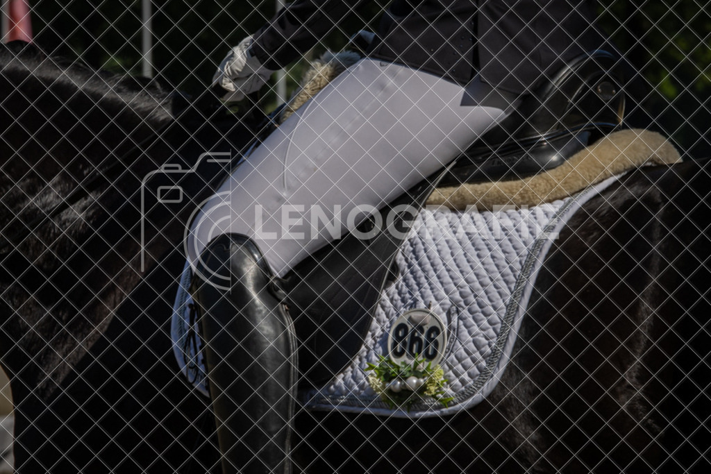 IMG_0692 | lenografie - Realisiert mit Pictrs.com