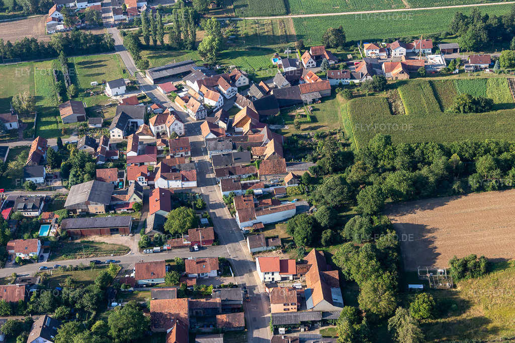 Luftbild: Dorfansicht aus Norden im Ortsteil Kleinsteinfeld in Niederotterbach im Bundesland Rheinland-Pfalz in Deutschland. Foto: IMG_122055.jpg vom 08.08.2020 durch Werner Riehm/FLY-FOTO.de