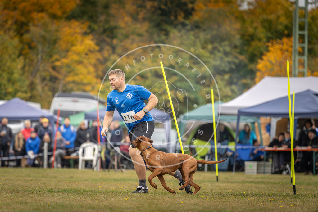 Pfotenfotografie_DV3A5246 | Hundefotografie, Tierfotograf, Pfotenfotografie, Fotoshooting Hund, Hunde Portrait, Hundesport, Hundeportraits, Heideshooting, Hunde, Sportfotograf, Hundefotograf, Turnierhundsport, THS,  - Realisiert mit Pictrs.com