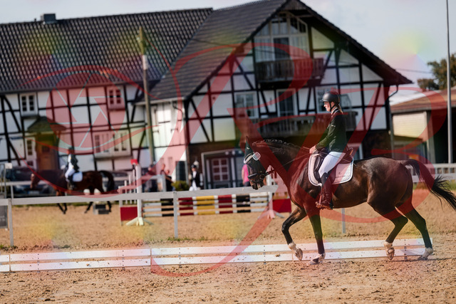 2026_10_03_Siefer-Hof_132124_Z63_82600516 | Professionelle Reitsport-, Turnier- und Eventfotografie von Robert Broda. Galerien mit ausgewählten und bearbeiteten Bildern direkt online ansehen und bestellen.