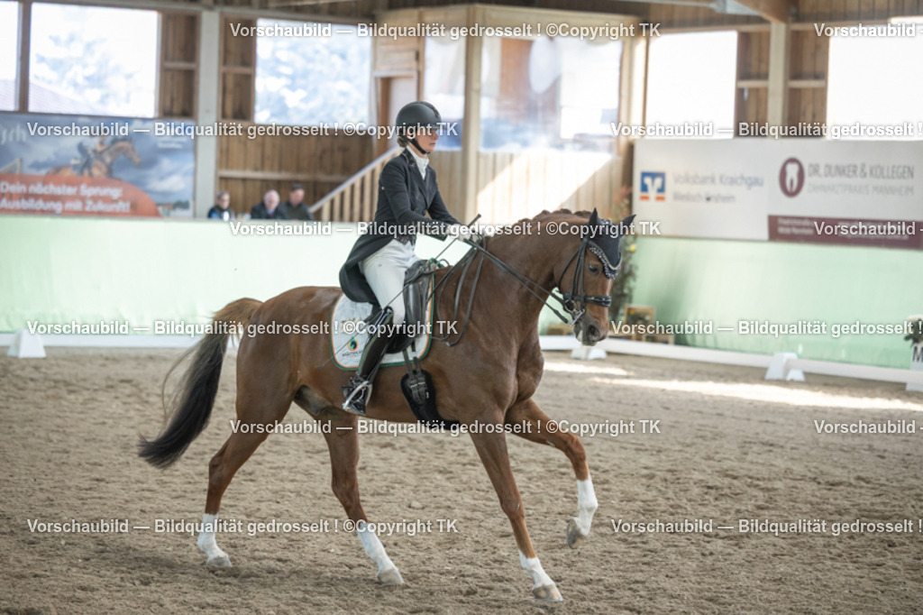 _D5A0082 | Emotionale Pferde- & People-Fotografie rund um Heidelberg, Leimen & Umgebung. Natürliche Fotos von Pferd, Mensch & Familie. Jetzt Termin sichern!