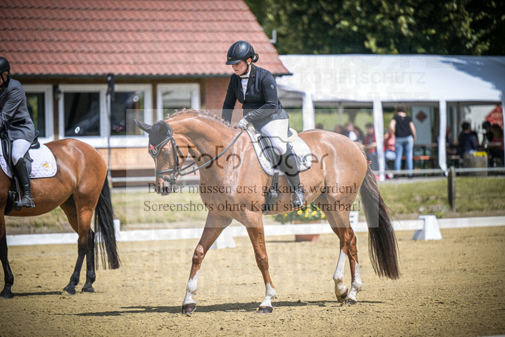 DOS_0597 | Entdecke hochwertige Reitturnierfotos von Foto Oger. Professionell, emotional und authentisch – jetzt Lieblingsmomente im Shop bestellen.Deutschlandweite Turnierfotografie. - Realisiert mit Pictrs.com
