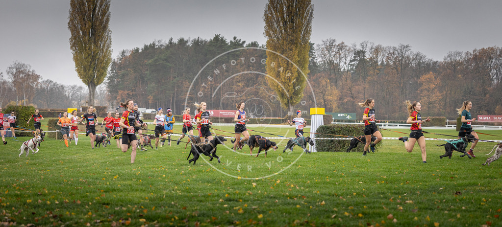 CaniXpix_DV3A8784 | Hundefotografie, Tierfotograf, Pfotenfotografie, Fotoshooting Hund, Hunde Portrait, Hundesport, Hundeportraits, Heideshooting, Hunde, Sportfotograf, Hundefotograf, Turnierhundsport, THS,  - Realisiert mit Pictrs.com