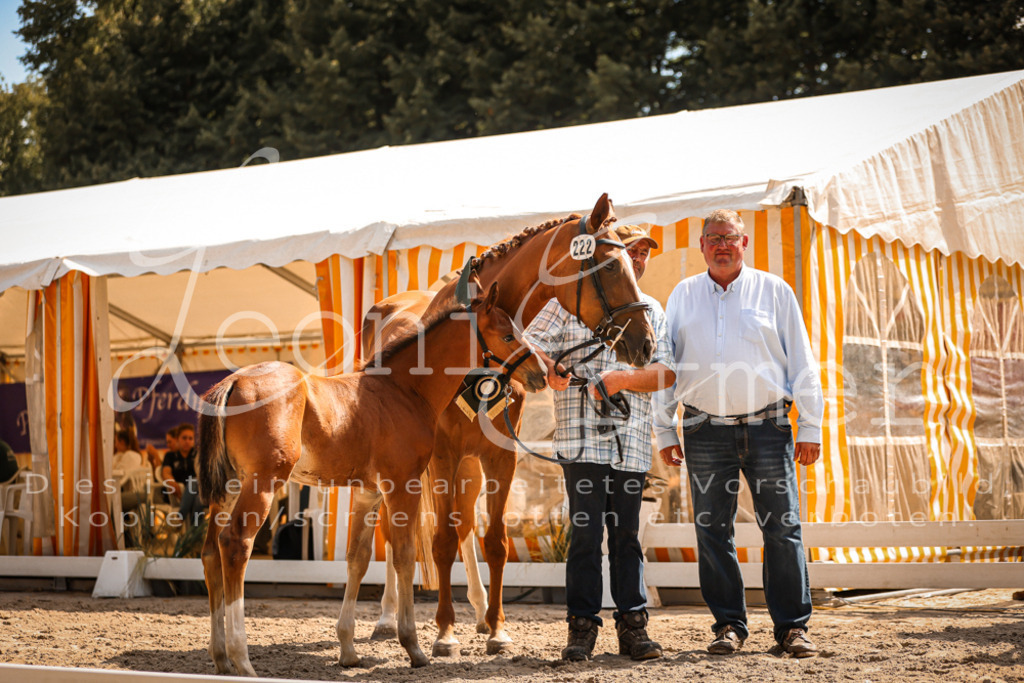 07.DoWBS00138 | Leoni Ertmer Photography - Realisiert mit Pictrs.com