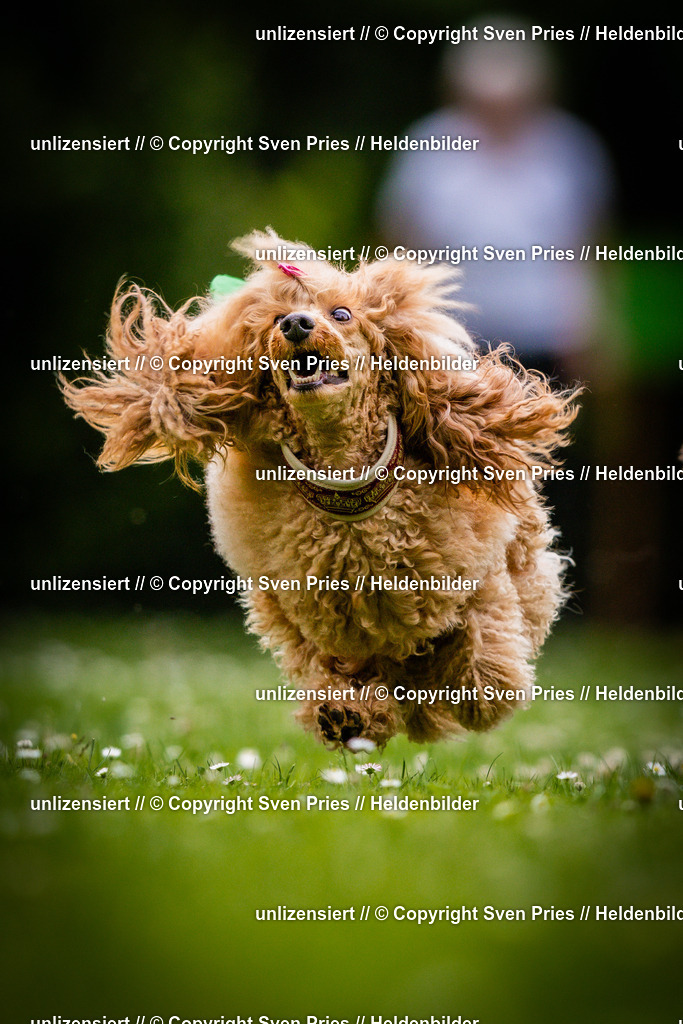 Sven Pries | 2025-05-29 - Pudelrennen KA-Durlach - Realisiert mit Pictrs.com