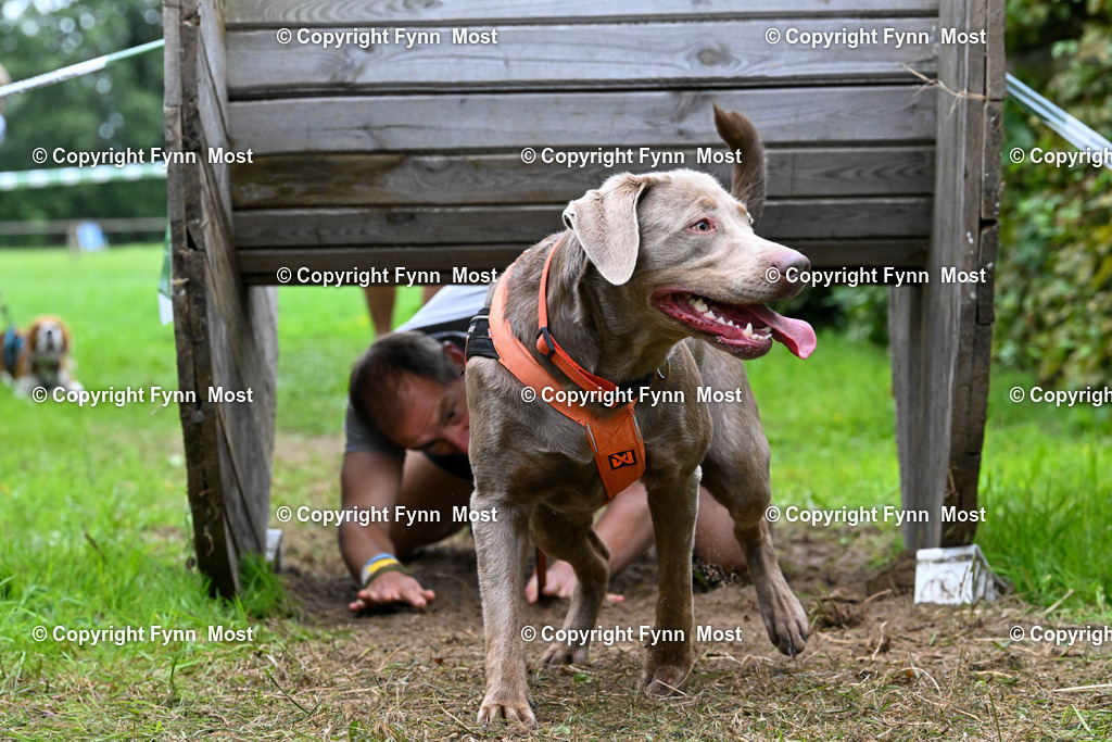 DSC_0875 | Hallo und herzlich Willkommen auf meiner Shop-Seite Fynn Most.

Ich wünsche Dir viel Spaß beim stöbern durch die Bilder, wenn Du Fragen hast oder Bilder vermisst, kannst du mir gerne eine Nachricht schreiben. - Realisiert mit Pictrs.com