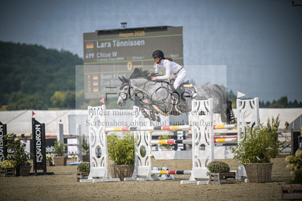 DOS_1639 | Entdecke hochwertige Reitturnierfotos von Foto Oger. Professionell, emotional und authentisch – jetzt Lieblingsmomente im Shop bestellen.Deutschlandweite Turnierfotografie. - Realisiert mit Pictrs.com