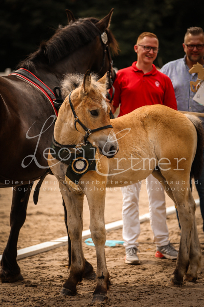SaSF00150 | Leoni Ertmer Photography - Realisiert mit Pictrs.com