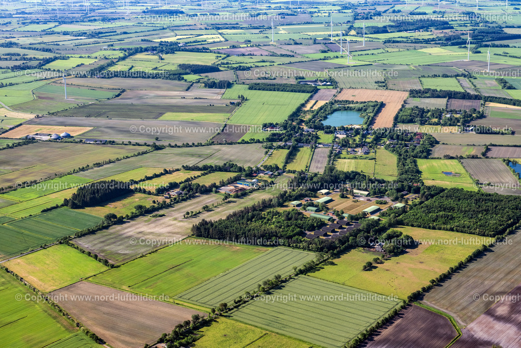Bramstedt_ELS_7666100623 | BRAMSTEDTLUND 10.06.2023 Strukturen auf landwirtschaftlichen Feldern in Bramstedtlund in Nordfriesland im Bundesland Schleswig-Holstein, Deutschland. // Structures on agricultural fields in Bramstedtlund at Nordfriesland in the state Schleswig-Holstein, Germany. Foto: Martin Elsen