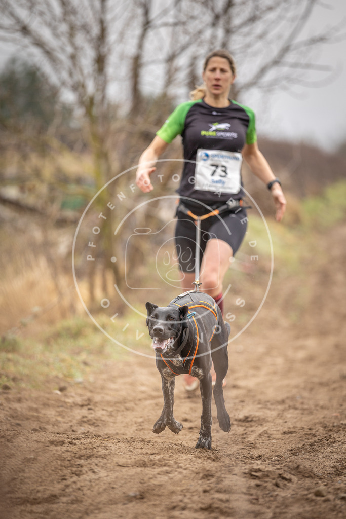 DV3A9699 | Hundefotografie, Tierfotograf, Pfotenfotografie, Fotoshooting Hund, Hunde Portrait, Hundesport, Hundeportraits, Heideshooting, Hunde, Sportfotograf, Hundefotograf, Turnierhundsport, THS,  - Realisiert mit Pictrs.com