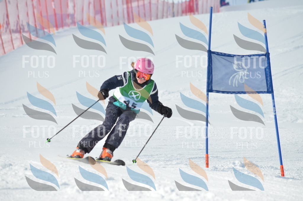 D8745 | holidayphoto