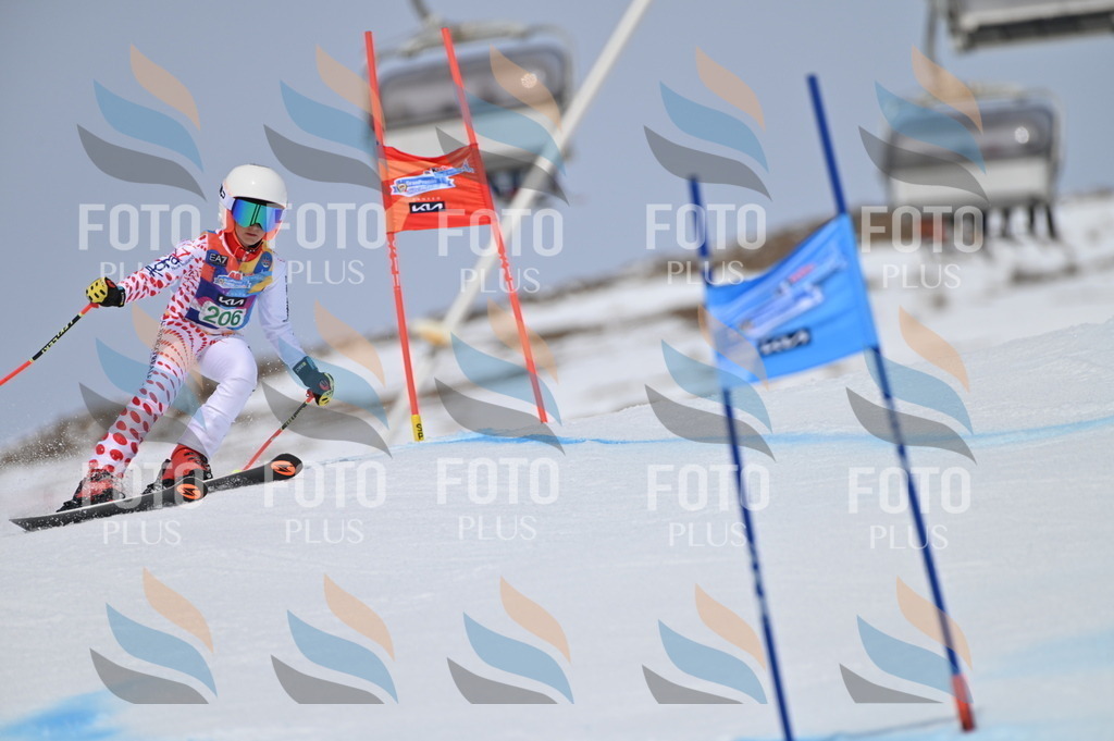 BGV_3972 | holidayphoto