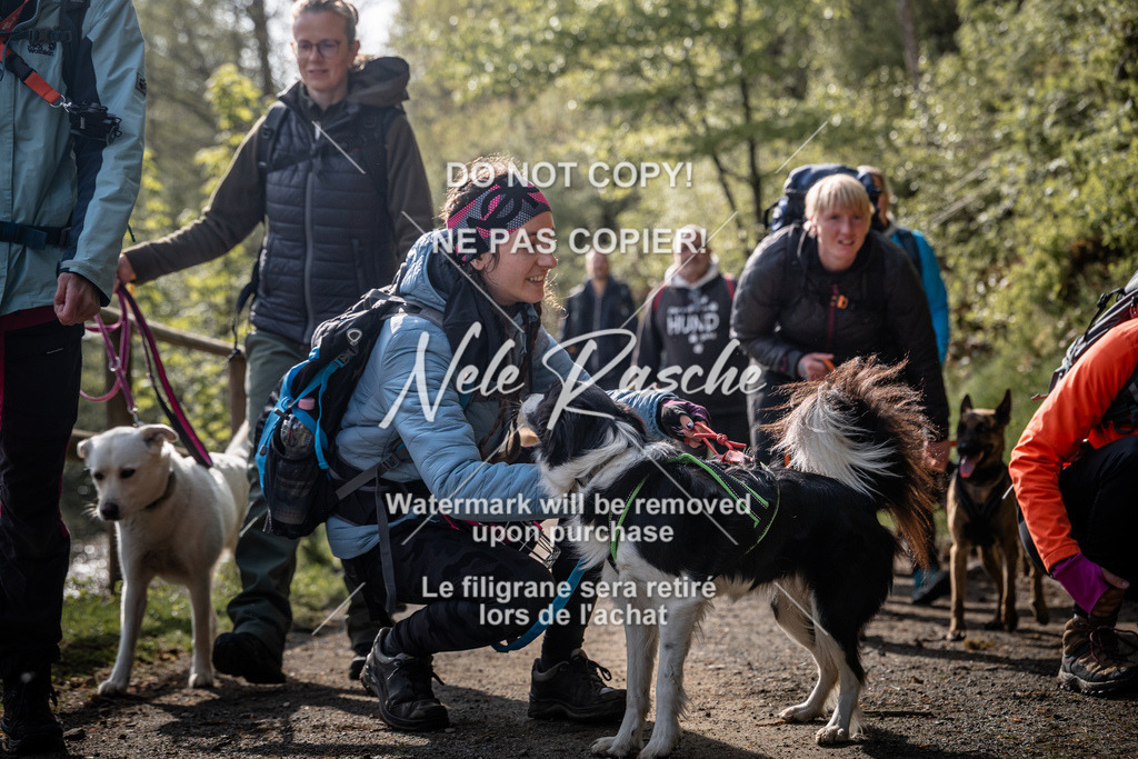 nelerasche_TheGame2026_SoAuszug_52 | nelerasche