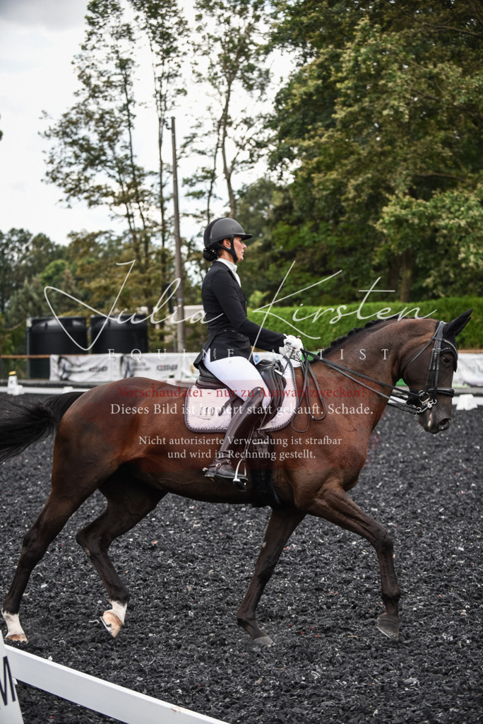 DSC_4841 | Pferde- und Turnierfotografie in Westsachsen. Pferdeportraits, Auftragszeichnungen und intuitive Kunst.