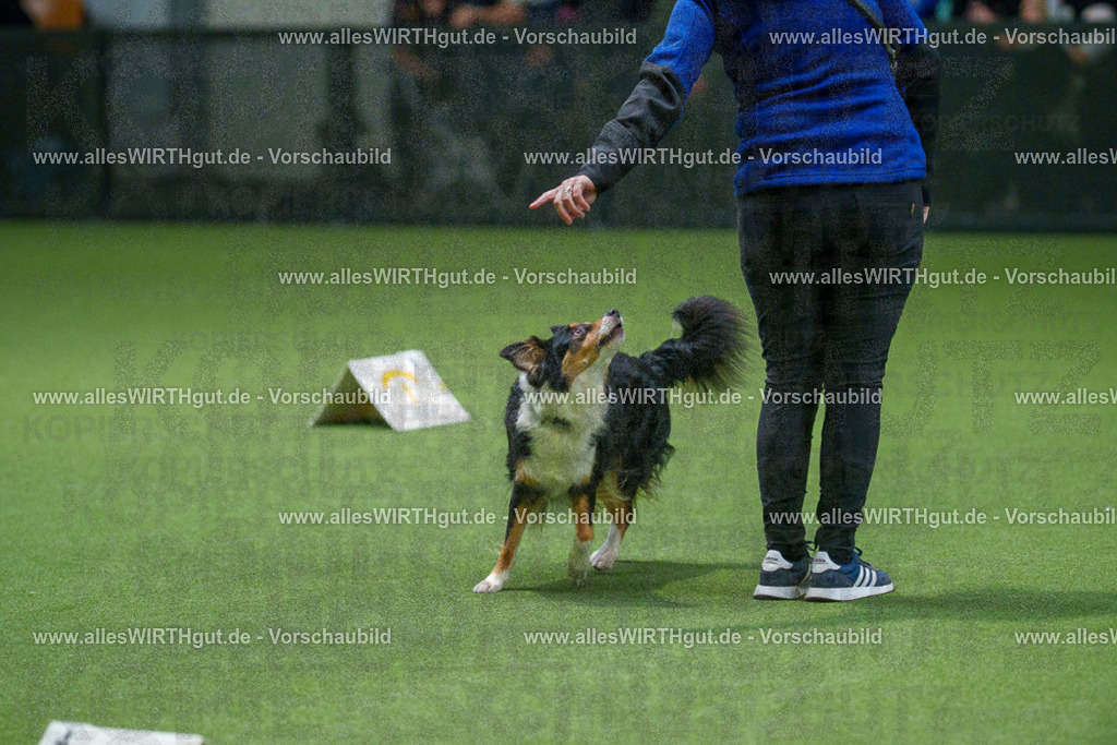 7R508146 | Professionelle Tierfotografie in Mönchengladbach von Daniel Wirth (allesWIRTHgut). Liebevolle & natürliche Bilder von Hunden & Katzen für unvergessliche Erinnerungen.