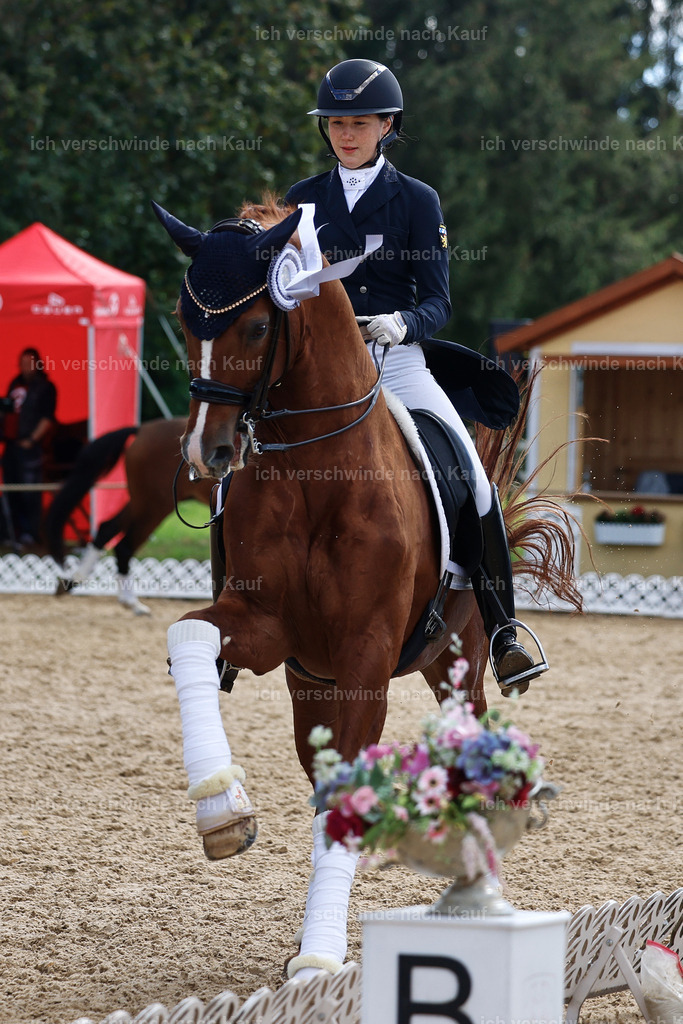 09_2-223-Dressur S__-StoibPH7097 | working equitationturnier fotograf videograf stoibphotography marixx film working equitation deutschland reitsport turnierfotografie eventfotografie equestrian events