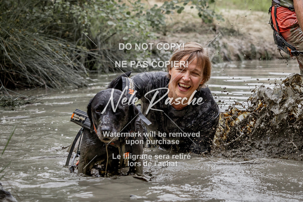 nelerasche_so0930-1000_335 | nelerasche