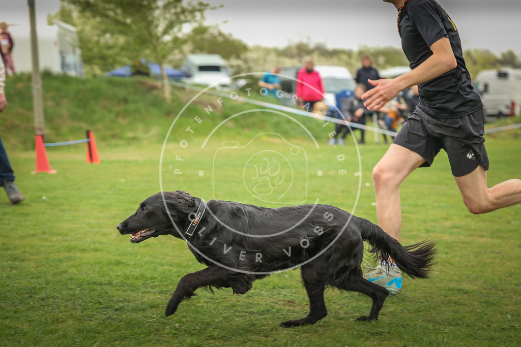 Pfotenfotografie_0L8A0508 | Hundefotografie, Tierfotograf, Pfotenfotografie, Fotoshooting Hund, Hunde Portrait, Hundesport, Hundeportraits, Heideshooting, Hunde, Sportfotograf, Hundefotograf, Turnierhundsport, THS,  - Realisiert mit Pictrs.com