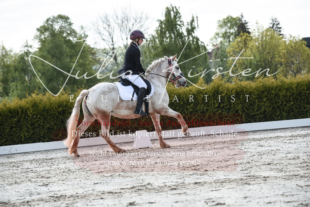 20230518_JK-Röhrsdorf-09-1599 | Pferde- und Turnierfotografie in Westsachsen. Pferdeportraits, Auftragszeichnungen und intuitive Kunst.