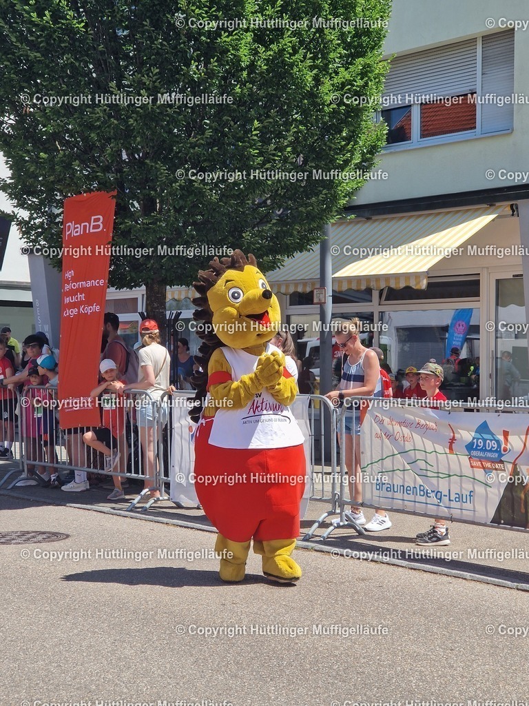 20260620_130142 | Hüttlinger Muffigelläufe - Realisiert mit Pictrs.com