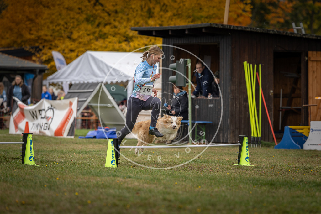 Pfotenfotografie_DV3A4912 | Hundefotografie, Tierfotograf, Pfotenfotografie, Fotoshooting Hund, Hunde Portrait, Hundesport, Hundeportraits, Heideshooting, Hunde, Sportfotograf, Hundefotograf, Turnierhundsport, THS,  - Realisiert mit Pictrs.com