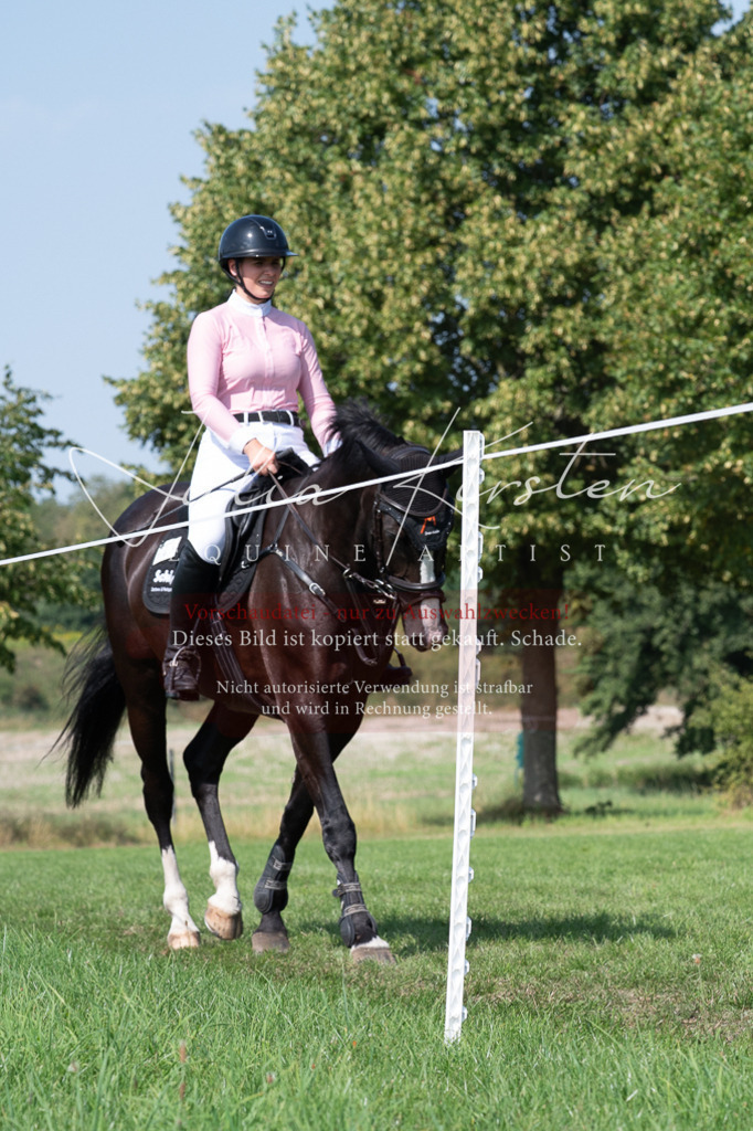 DSC_0869 | Pferde- und Turnierfotografie in Westsachsen. Pferdeportraits, Auftragszeichnungen und intuitive Kunst.