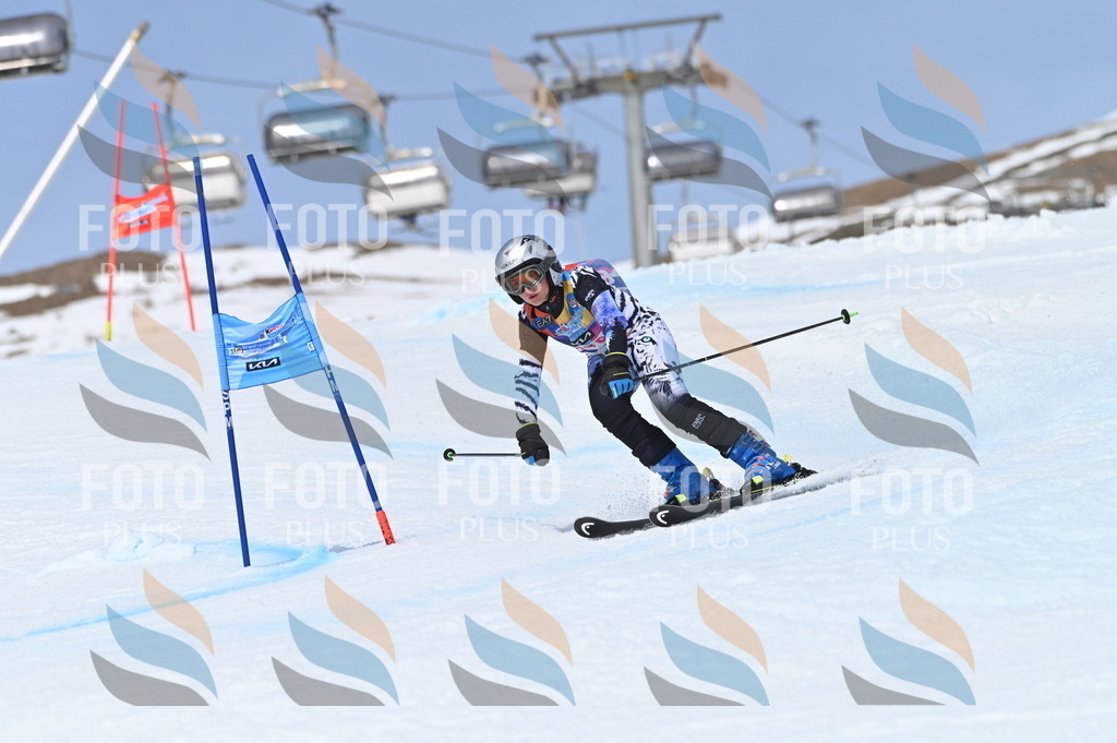 BGV_4037 | holidayphoto