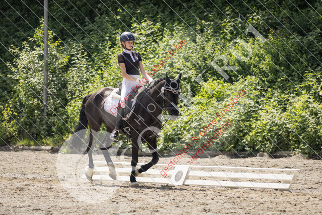 IMG_4538 | Sport-, Event- und Tierfotos in Profiqualität. Einfach auswählen, bestellen und herunterladen. Dein Moment – perfekt festgehalten.