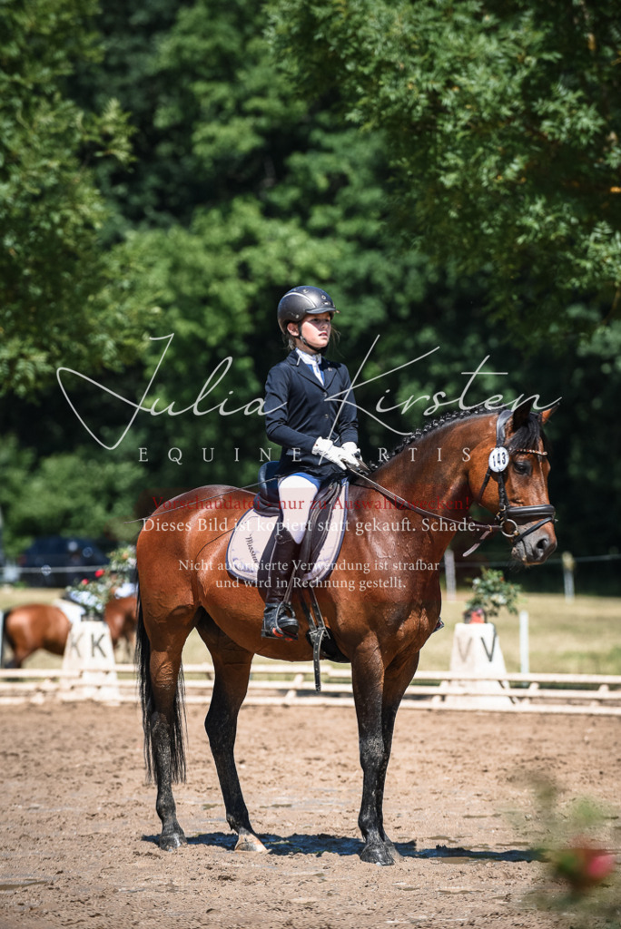 DSC_2857 | Pferde- und Turnierfotografie in Westsachsen. Pferdeportraits, Auftragszeichnungen und intuitive Kunst.