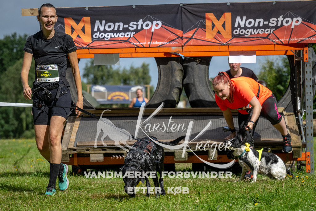 1129_ZZ92249 | kk-dogfotos