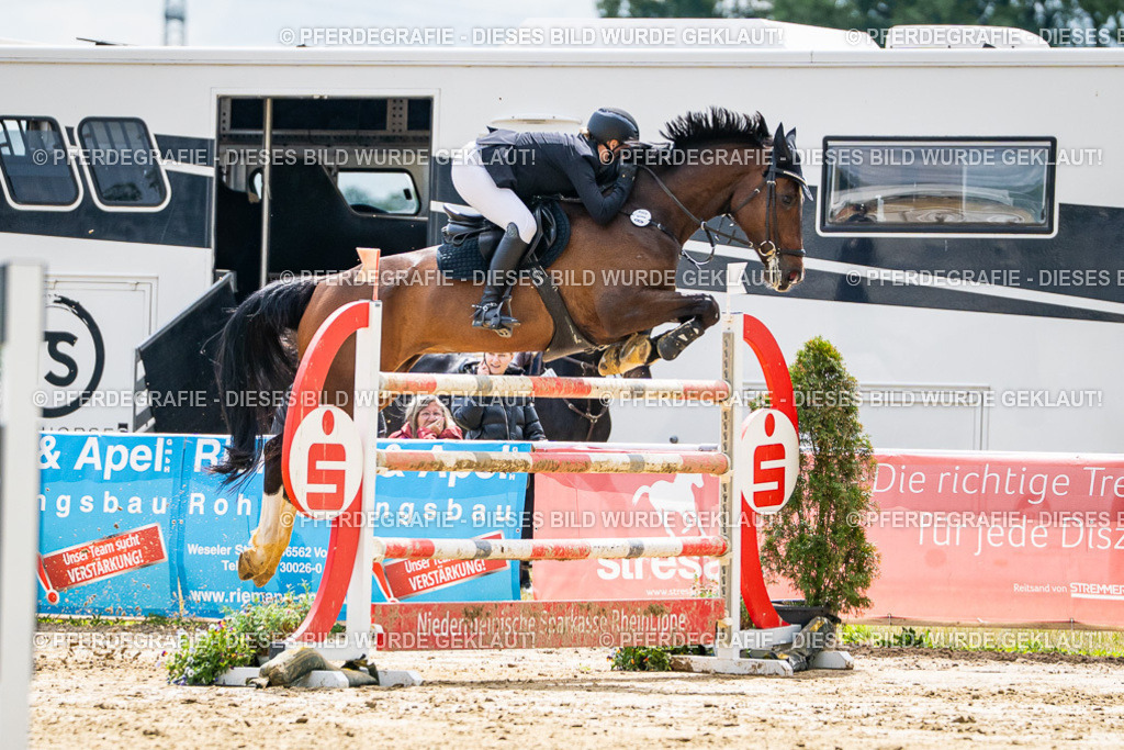 DSC05927 | Pferdegrafie