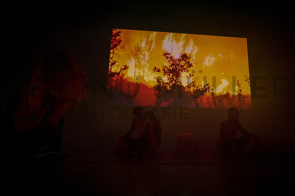 DSC06347 | Tinu Müller Fotografie- Bildershop - Realisiert mit Pictrs.com