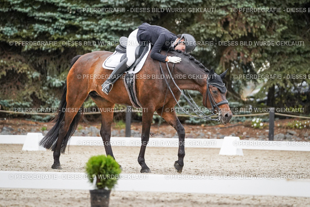 DSC09752 | Pferdegrafie