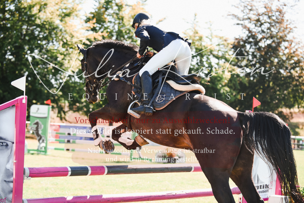 DSC_2550 | Pferde- und Turnierfotografie in Westsachsen. Pferdeportraits, Auftragszeichnungen und intuitive Kunst.