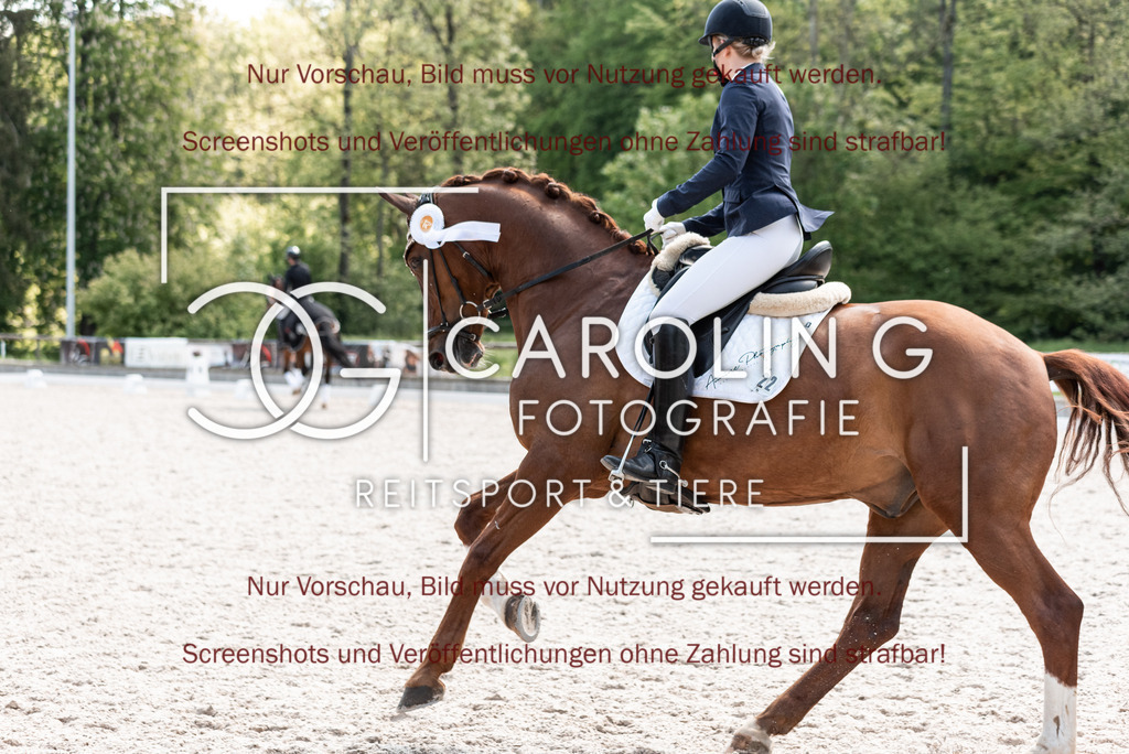 DSC_0030 | Turnierfotografin Carolin Gieschke, Turnierfotografie Carolin G Fotografie, Turnierfotos Kirchheim/Teck, Esslingen, Stuttgart, Bodenseekreis