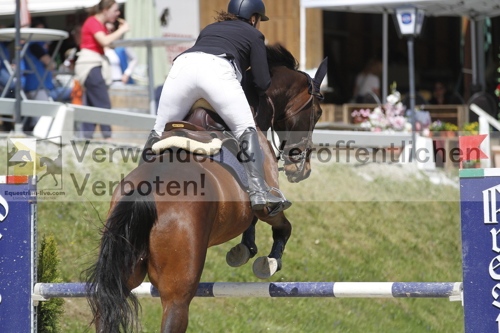 _MG_5553 | equestrian-live-com