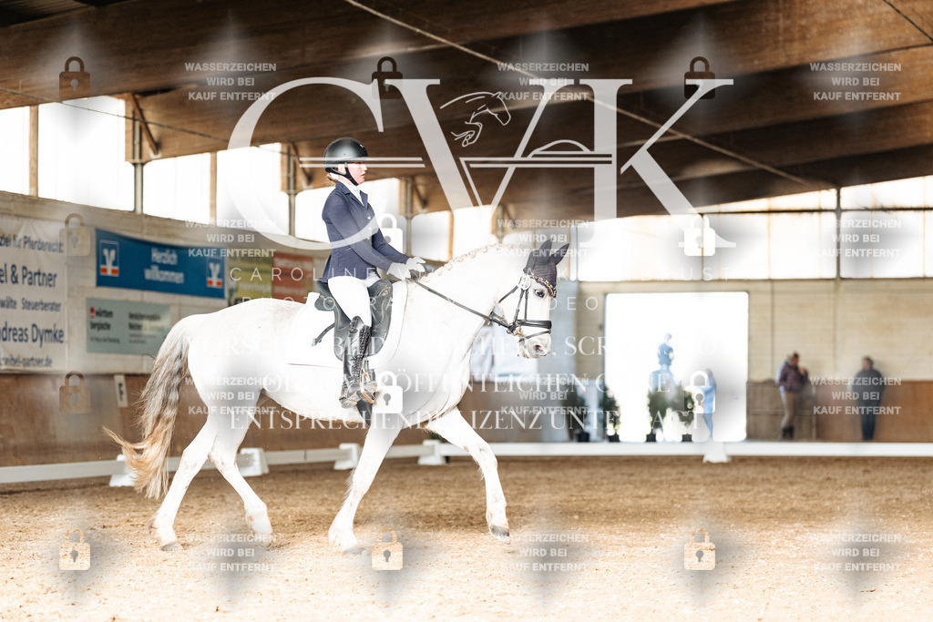 CK902541 | Turnierfotografie Pferdefotografie Trier Rheinland-Pfalz Pferdesport Reitsport Tierfotografie Sportfotografie Pferdevideo Pferdevideografie Equestrianvideography equestrianphotography  - Realized with Pictrs.com