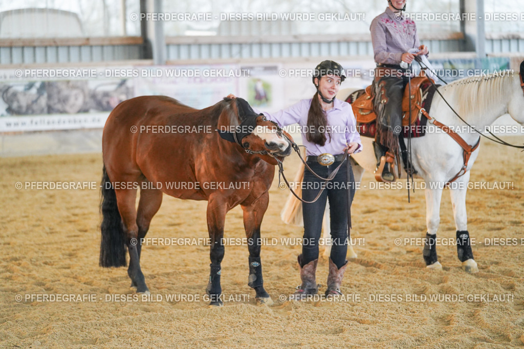 DSC09002 | Pferdegrafie