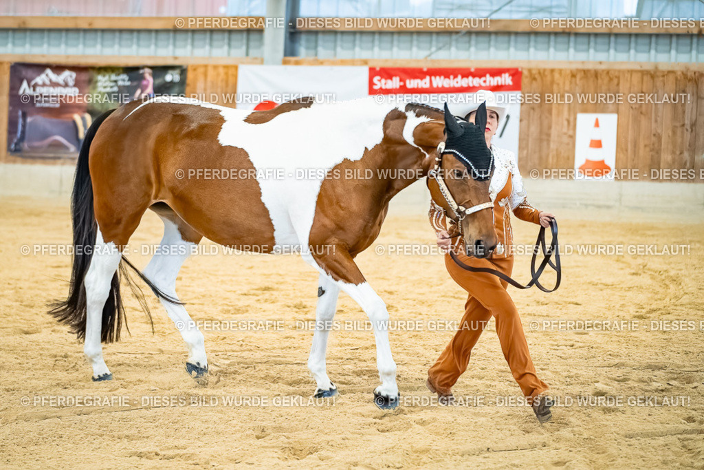 DSC09705 | Pferdegrafie