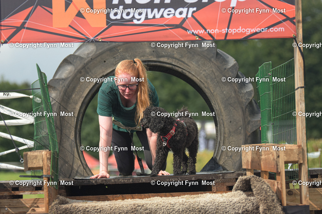 DSC_0698 | Hallo und herzlich Willkommen auf meiner Shop-Seite Fynn Most.

Ich wünsche Dir viel Spaß beim stöbern durch die Bilder, wenn Du Fragen hast oder Bilder vermisst, kannst du mir gerne eine Nachricht schreiben. - Realisiert mit Pictrs.com