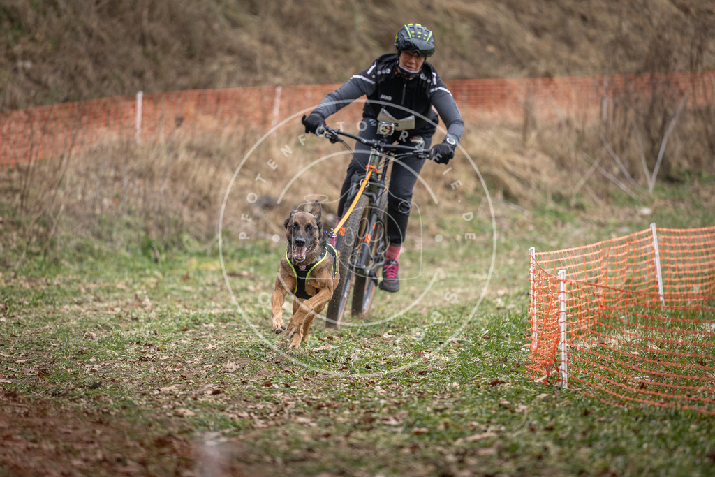 Pfotenfotografie_DV3A6247 | Hundefotografie, Tierfotograf, Pfotenfotografie, Fotoshooting Hund, Hunde Portrait, Hundesport, Hundeportraits, Heideshooting, Hunde, Sportfotograf, Hundefotograf, Turnierhundsport, THS,  - Realisiert mit Pictrs.com
