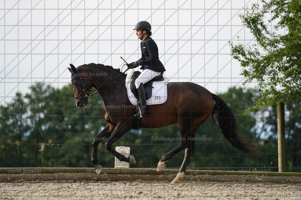 20230826-FAH04503 | Forstinning, 2023, Dressurturnier, Turniersportbilder, Turnierfotografen Bayern, Fotoagentur Herrmann, Reitsportfotografie, Turnierbilder